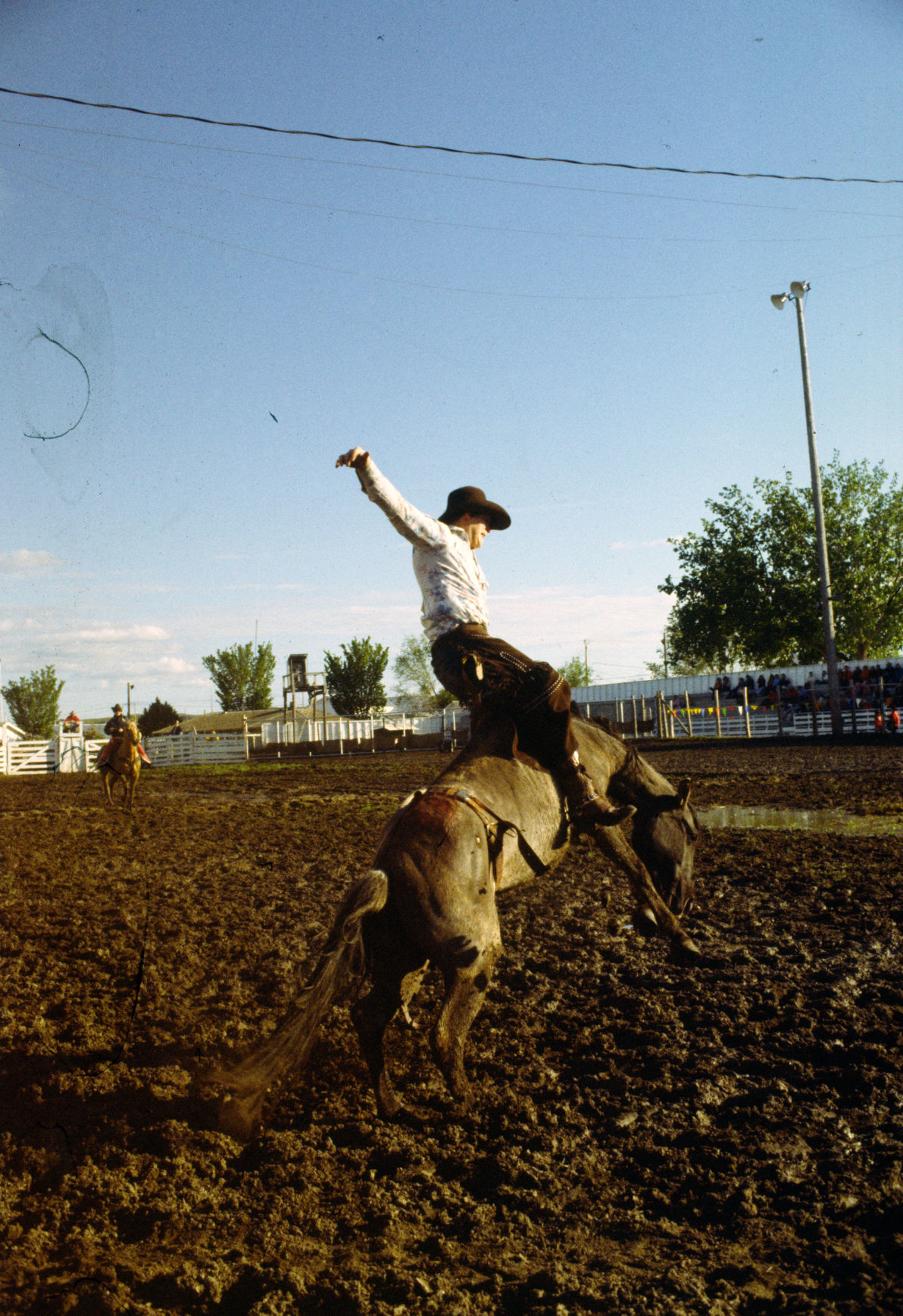 Miles City Bucking Horse Sale, 1978